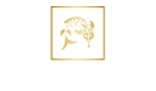 Prunier