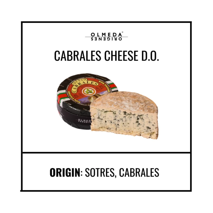 CABRALES ΠΟΠ OLMEDA ORIGENES ΤΥΡΙ ΑΠΟ ΑΓΕΛΑΔΙΝΟ & ΚΑΤΣΙΚΙΣΙΟ ΓΑΛΑ 2,5kg